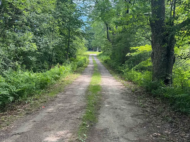 455 Lead Mine Rd — Photo 40