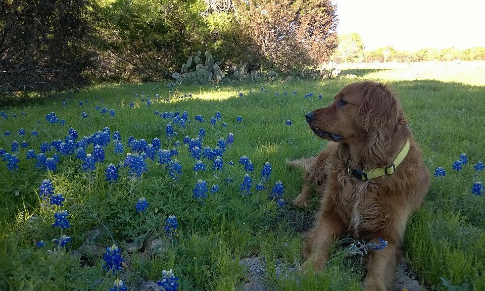 behind house trail to creek