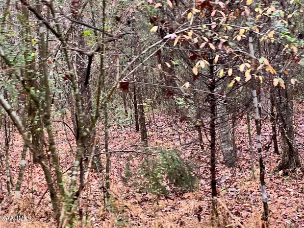 LOT 12 Hampton Ln, Decatur, TN 37322