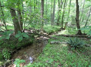 6093 Joy Ranch Rd, Woodlawn, VA 24381