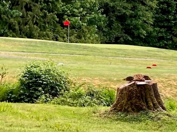 201 N Duckabush Drive E, Hoodsport, WA 98548