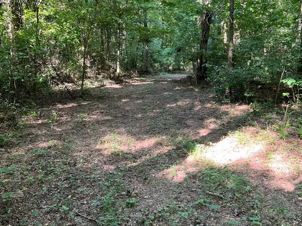 7848 Smiths Grove Rd, Scottsville, KY 42164