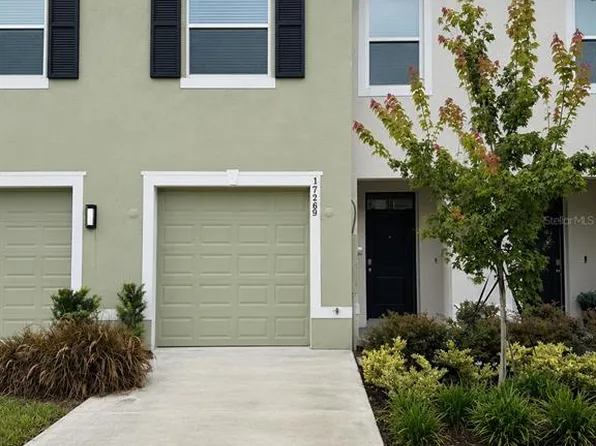 17269 Bigleaf Mahogany Ln, Land O Lakes, FL 34638