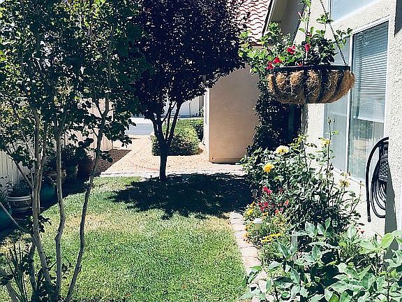 4th image of 11525 Mountain Meadow Dr