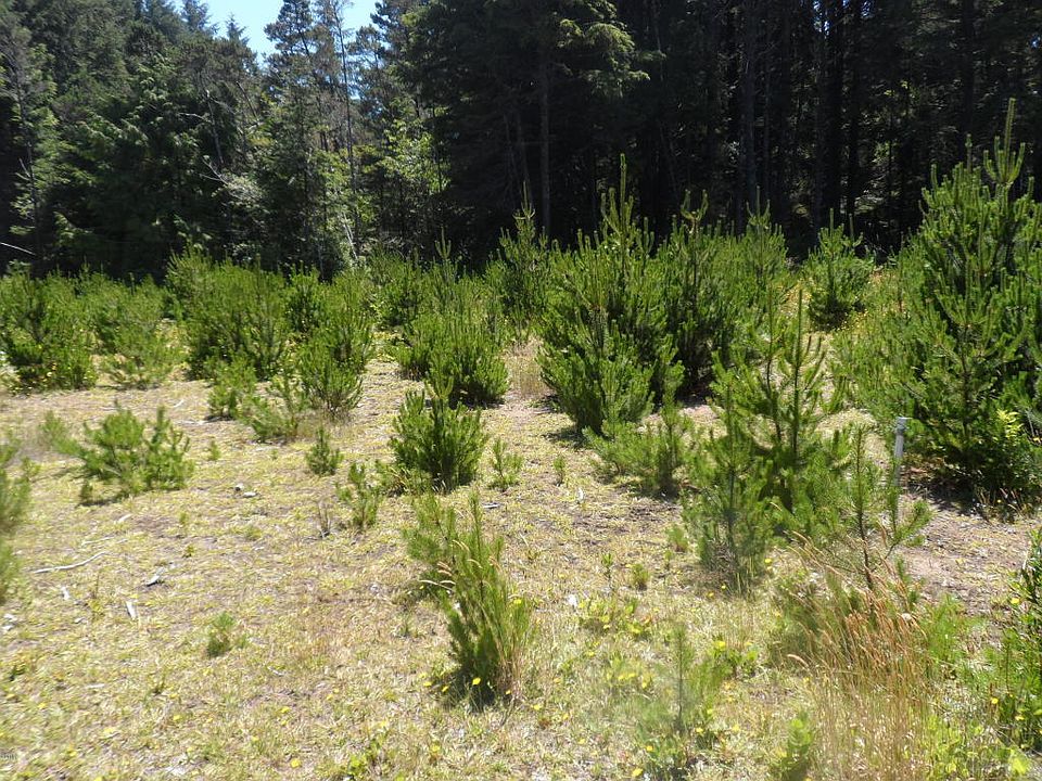 2nd image of TL 3 Se Waukeetum