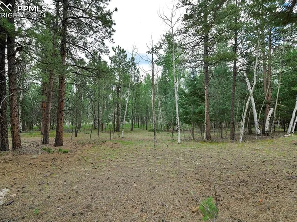 1360 Windflower Ln, Woodland Park, CO 80863