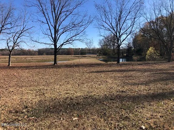 8215 Highway 51, Vaiden, MS 39176