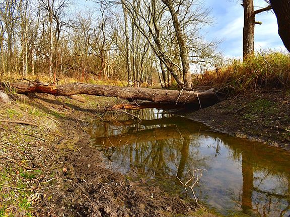 Photo Jan 07 2026 3 13 27 Pm Edited 