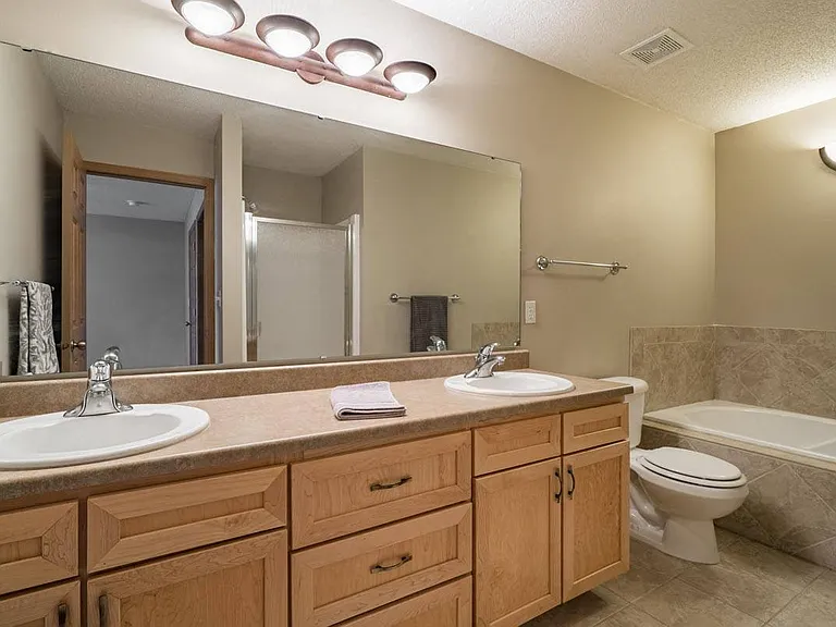 Some homes feature a dual sink vanity in the primary bath.