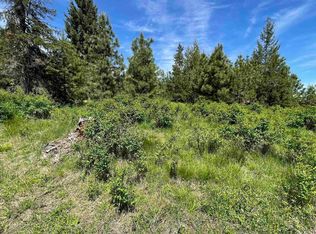 Elderberry Dr PARCEL 9, Orofino, ID 83544