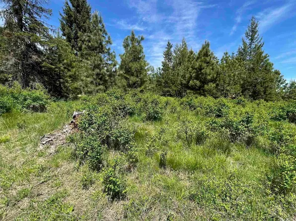 Elderberry Dr Parcel 9, Orofino, ID 83544