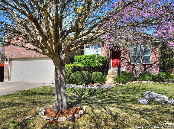3rd image of 1019 Treaty Oak