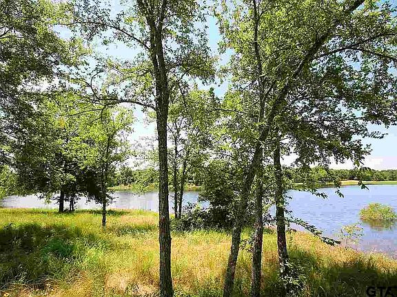5th image of LOT 20 County Road 1301