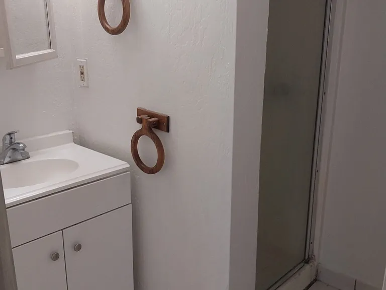 313 Raymond St #3 — Photo 11