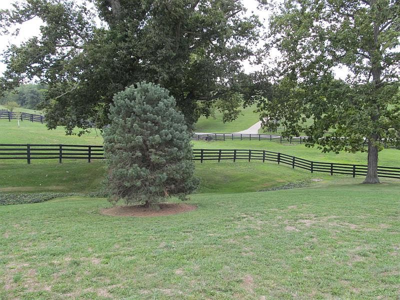 2nd image of 3639 Booker Rd