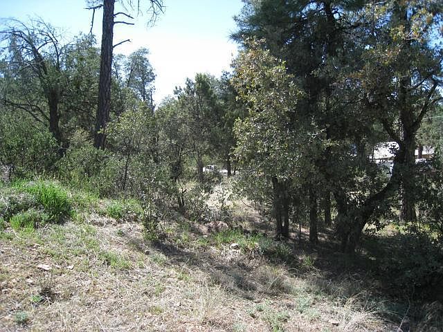 1st image of 1405 N Woodland Dr