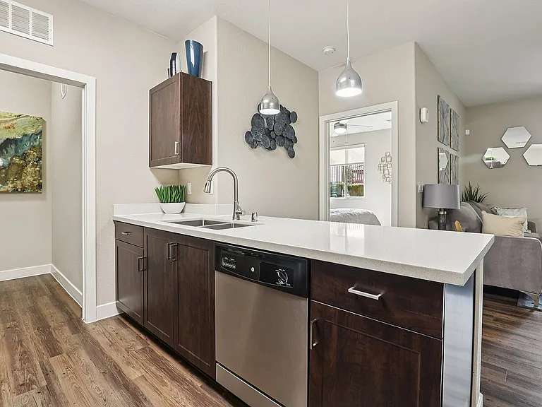 Dishwasher and View of Countertop Space