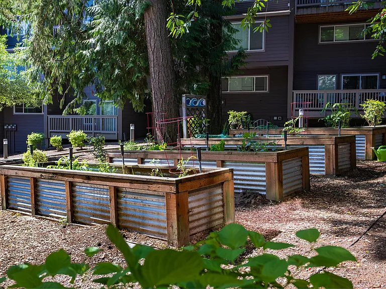 Larkspur West Linn — Photo 11