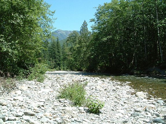 Private beach with no development across the river.