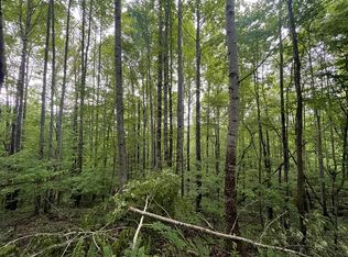 LOT 18 Chimney Ridge Dr, Topton, NC 28781
