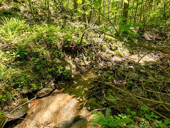 3rd image of 8.3 Spring Pond Trl