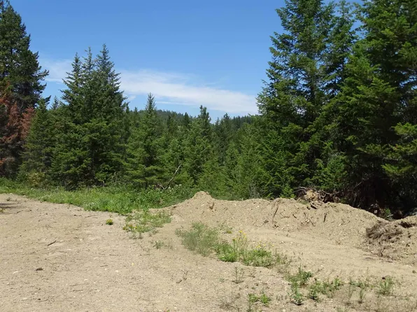 4482 Old East Springdale Rd, Loon Lake, WA 99148