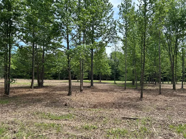 0 County Road 1412, Bogata, TX 75417