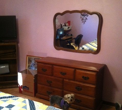 5th image of 2227 Hidden Creek Cir