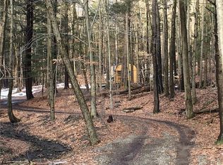 LOT 1 Springer Rd LOT 1, De Ruyter, NY 13052