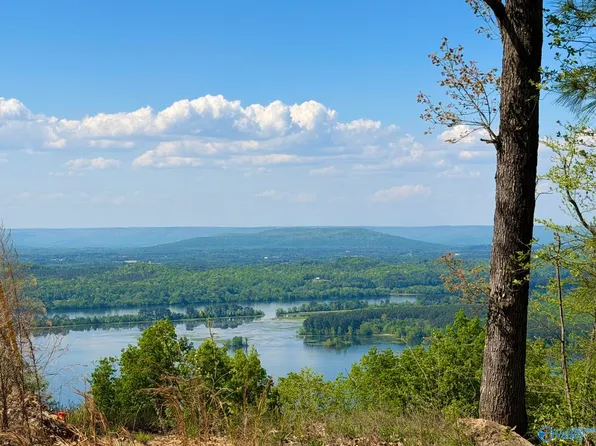 7 County Road 224, Dutton, AL 35744