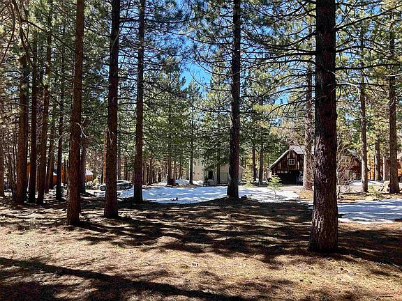 4th image of 14963 Wolfgang Rd