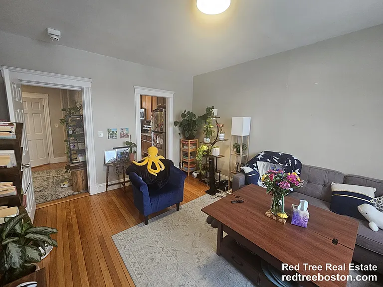 370 Chestnut Hill Ave #35 — Photo 1
