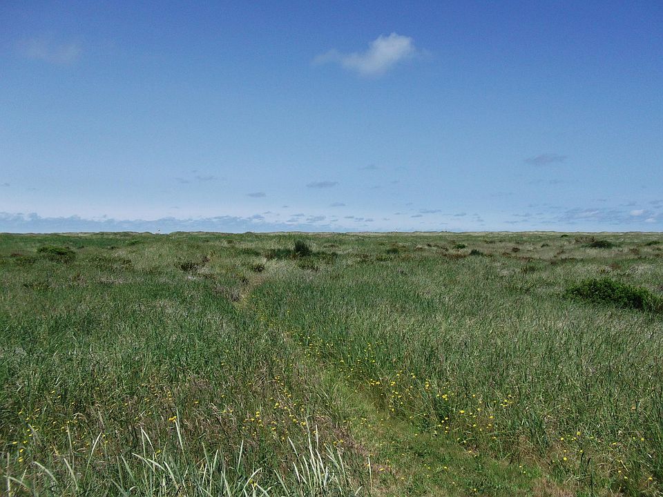 Walk to the Beach