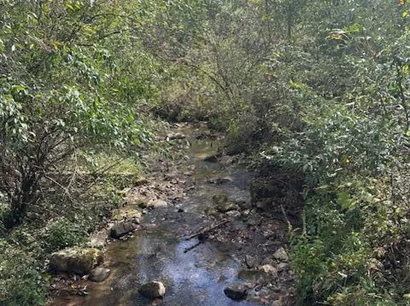 Valley Spring Rd, Rose Hill, VA 24281