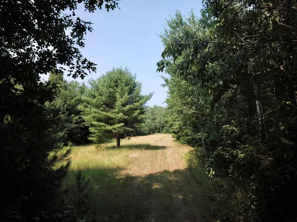 Oak Ridge Rd, Harshaw, WI 54529