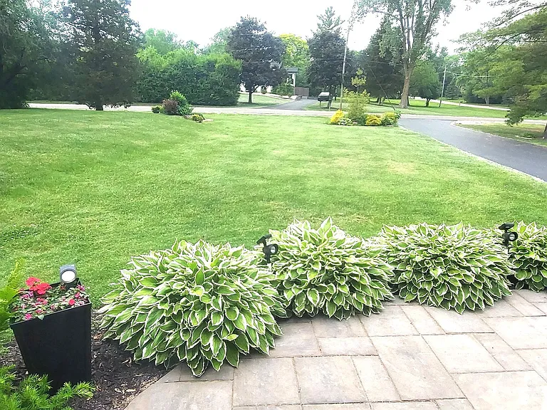 83 Wildwood Dr — Photo 35