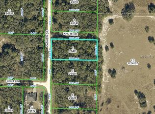 8260 Cashew Dr, Webster, FL 33597