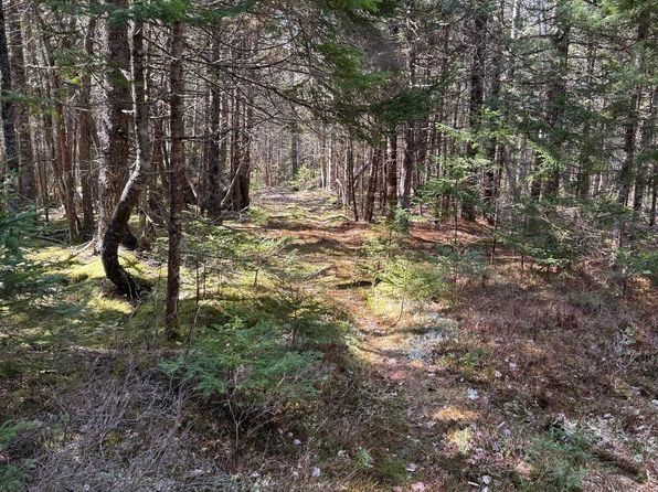 Lot 48A Route 1, Gouldsboro, ME 04607