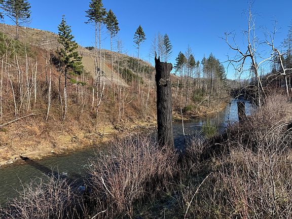 4th image of 25497 Taylor Park Rd SE