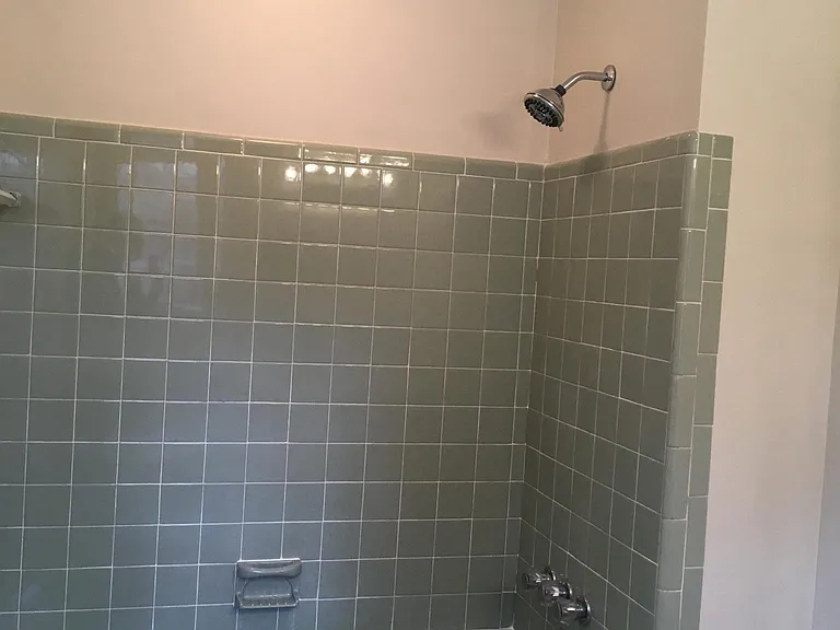2nd master tub & shower