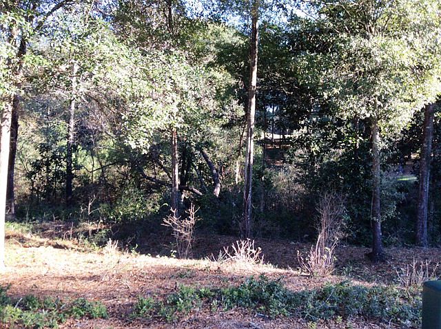 1st image of 9468 Sweet Gum Ct