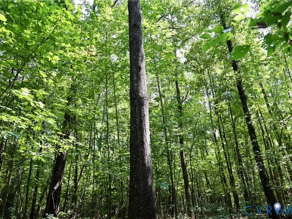 0 Bellevue Rd #10, Halifax, VA 24558