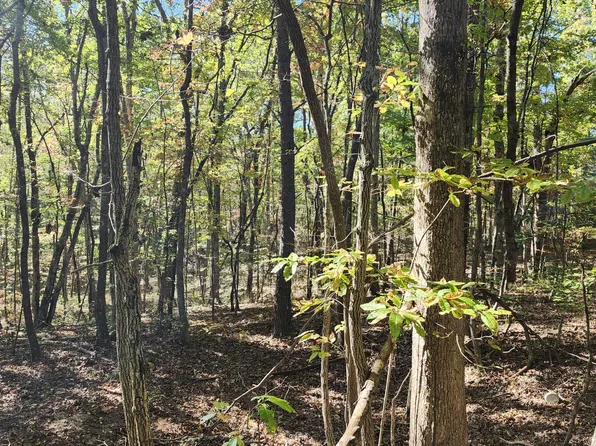 0 Tipple Rd Tract 4 & 5, Tracy City, TN 37387