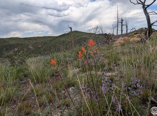 1324 Meadow Mountain Dr, Livermore, CO 80536