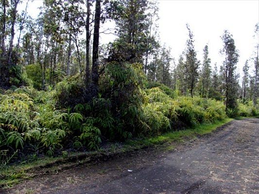 4th image of Road 9 Koloa Maoli Lot 5496