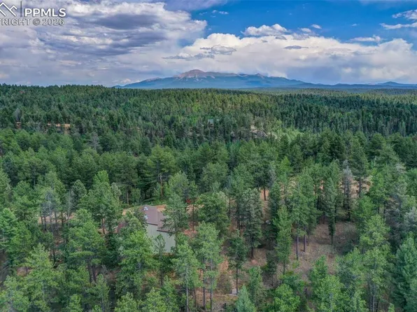 449 Woody Creek Rd, Divide, CO 80814