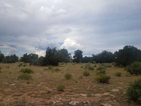 5th image of 10005 W Cloud Cover Way