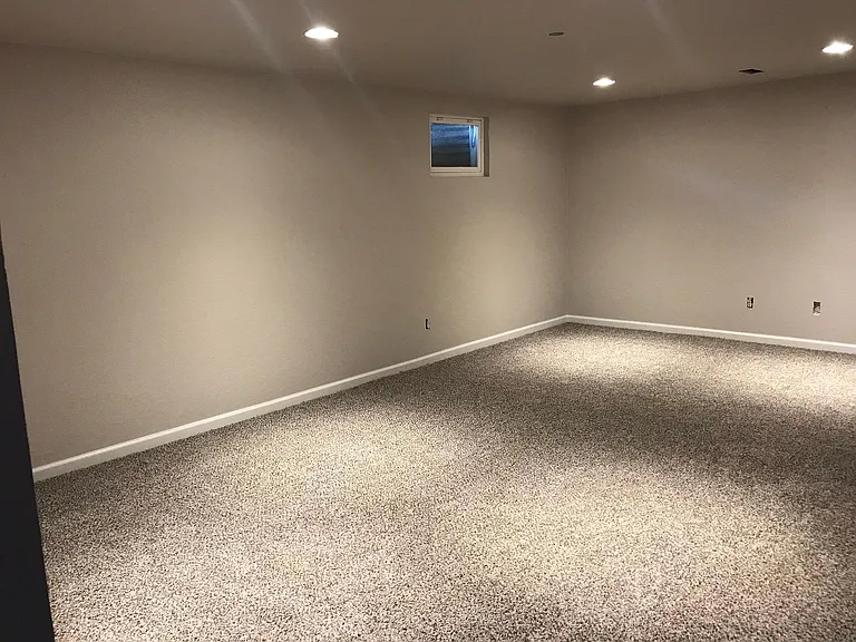 Finished basement living area