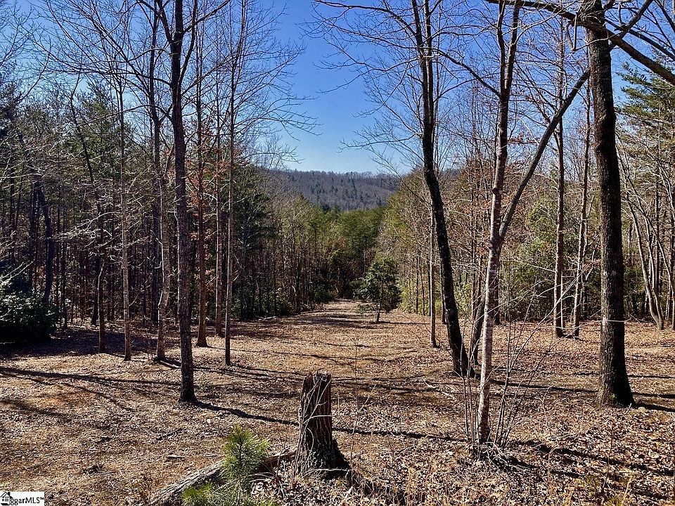 2nd image of 203 Blue Spruce Trl