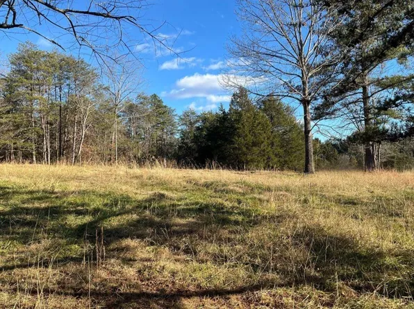 235 Tweedy Ln Lot 2, Appomattox, VA 24522